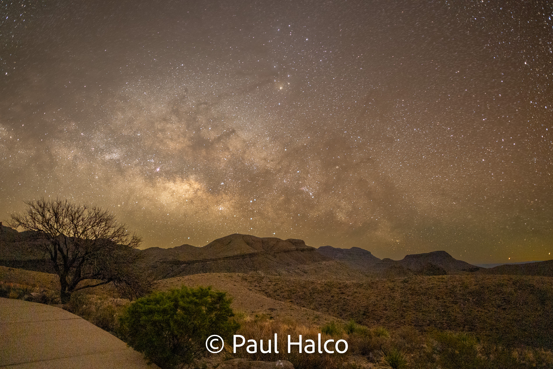 Paul Halco - Big Bend NP-16